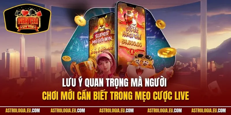 Lưu ý quan trọng mà người chơi mới cần biết trong mẹo cược live