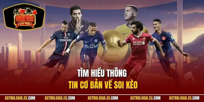Tìm hiểu thông tin cơ bản về soi kèo